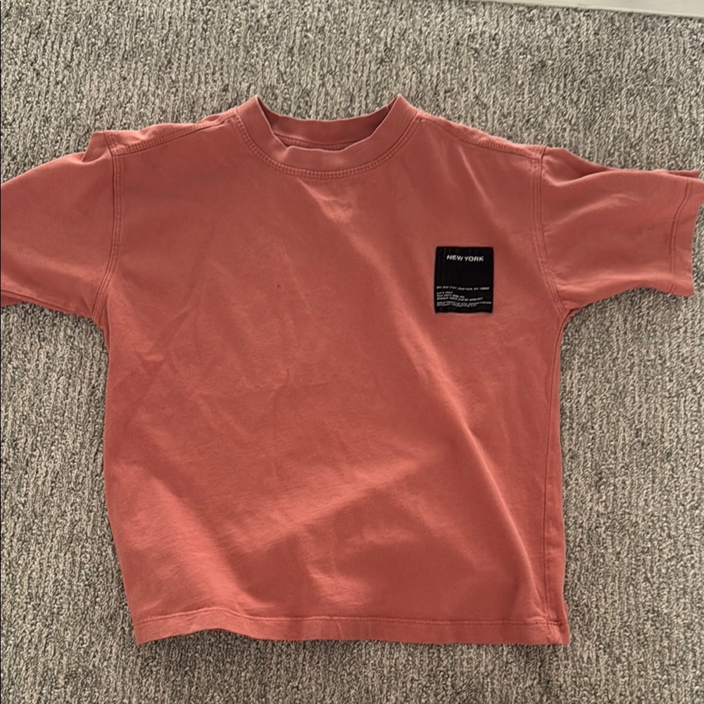 Zara Brown Short Sleeve Tee Essential Casual Wear